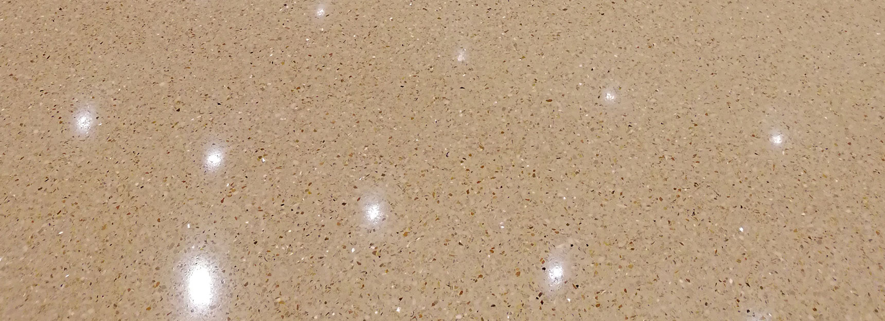 午夜成人在线播放