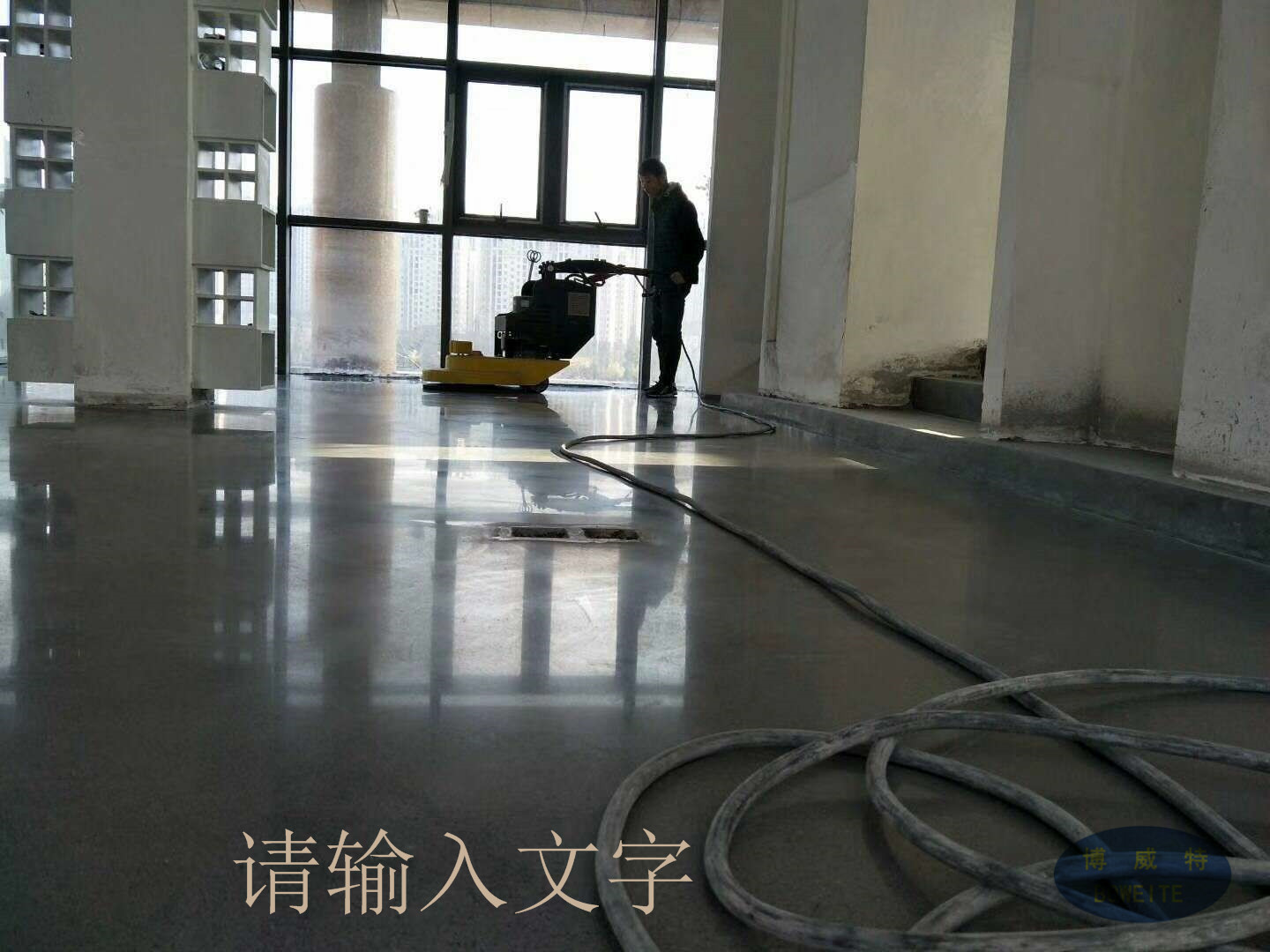 无机午夜成人在线播放图片
